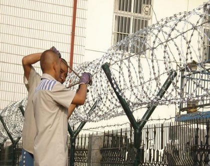 監(jiān)獄護(hù)欄網(wǎng)