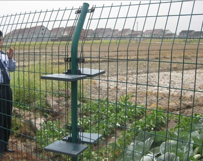 雙邊絲護(hù)欄網(wǎng)